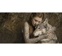 Paint by Numbers Adults Wolf Painting by Numbers for Adults Woman 8x16inch, DIY Color Oil Paintings Beginners Kit mit 3 Paintbrushes and Acrylic Paints, Home Room Wall Decor Gifts,Without Frame-fu369u