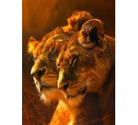 Paint by Numbers Animal Lion Painting by Numbers for Adults with Frame, Paint by Number for Children Beginners, DIY Acrylic Pigment Drawing Paintwork Arts and Crafts for Room Decor 50x70cm J8-708