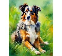 Paint by Numbers,Australian Shepherd on Grass,Creative Painting Dreams,Artworks in Digital Oil Painting Style,Canvas Art for Bedroom Decor,40x50cm Without Frame