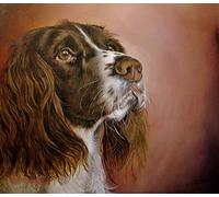 Paint by Numbers DIY Oil Painting Canvas Print Wall Art Home Decoration - Springer Spaniel Dog