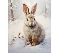 Paint by Numbers,DIY Painting Kit,Little Rabbit in The Snow,Color Quest:Guided Painting for All Ages,40x50cm,Without Frame