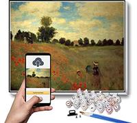 Paint by Numbers for Adult Kits field of poppies painting by Claude Monet Paint by Number Kit On Canvas for Beginners