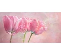 Paint by Numbers for Adults, 30x40cm, Pink Rose 1JGWX-105