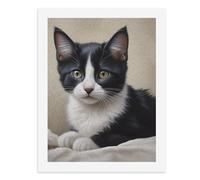 Paint by Numbers for Adults-A Black and White Kitten Lying on A White Blanket, with Bright Yellow Eyes and White Whiskers -for Home Wall Decor 12X16Inch