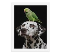 Paint by Numbers for Adults-A Dalmatian Dog with A Green Parrot Perched on Its Head -for Home Wall Decor 12X16Inch