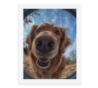 Paint by Numbers for Adults-A Golden Retriever with A Large Black Nose and Open Mouth, Looking Directly at The Camera -for Home Wall Decor 12X16Inch