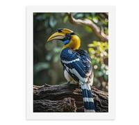 Paint by Numbers for Adults-A Great Hornbill Perched on A Tree Branch with A Large, Colorful Beak and Blue-Yellow-Black-White Feathers -for Home Wall Decor 12X16Inch