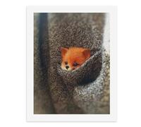 Paint by Numbers for Adults-A Small Red Fox Peeking Out from A Pocket -for Home Wall Decor 12X16Inch