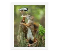 Paint by Numbers for Adults-A Squirrel and A Chickadee on A Tree Stump, with The Squirrel Reaching Up to The Mushroom Where The Bird is Perched -for Home Wall Decor 12X16Inch