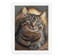 Paint by Numbers for Adults-A Tabby Cat with Green Eyes, Lying Down, Looking Up -for Home Wall Decor 12X16Inch