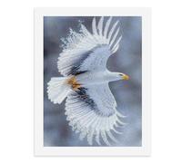 Paint by Numbers for Adults-A White Eagle with Black Wing Tips, Orange Beak and Talons, Flying with Snowflakes Around Its Wings -for Home Wall Decor 12X16Inch