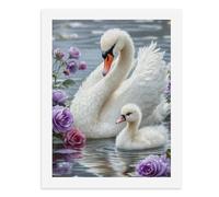Paint by Numbers for Adults-A White Swan and A Fluffy Cygnet Floating on Water Surrounded by Purple Roses -for Home Wall Decor 12X16Inch