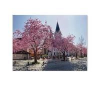 Paint by Numbers for Adults and Beginner,Cherry Blossom on the Cathedral Square of Eichstätt,Painting by Number Kits On Canvas,DIY Color Oil Painting Acrylic Paints,Home Wall Decor(30x40cm)-AC86