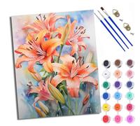 Paint by Numbers for Adults and Beginner Painting by Number Colored Lily Flowers with Frame Oil Paintings on Canvas House Wall Decor 16x20in