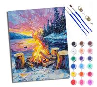 Paint by Numbers for Adults and Beginner Painting by Number Fireworks for Warmth with Frame Oil Paintings on Canvas House Wall Decor 16x20in
