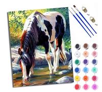 Paint by Numbers for Adults and Beginner Painting by Number Little Horse Drinking Water by The River with Frame Oil Paintings on Canvas House Wall Decor 16x20in
