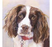 Paint by Numbers for Adults and Kids DIY Oil Painting Gift Kits Pre Printed Canvas Art Home Decoration - Springer Spaniel Dog