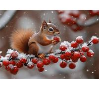 Paint by Numbers for Adults Animal Acrylic Adult Painting by Numbers Kits on Canvas, Squirrel DIY Color Oil Painting Acrylic Paints, Hobbies for Adults Women Home Wall Decor 36x48inch/90x120 cm X-6529