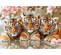 Paint by Numbers for Adults Animal Acrylic Adult Painting by Numbers Kits on Canvas, Tiger DIY Color Oil Painting Acrylic Paints, Hobbies for Adults Women Home Wall Decor 12x16inch/30x40 cm, X-8423