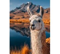 Paint by Numbers for Adults Animal, Cute DIY Paint by Numbers Kits, Acrylic Painting Adult Crafts with Brushes and Acrylic, Crafts Canvas for Beginners Kit, Autumn Decorations for Home, 20x28in 8-4681