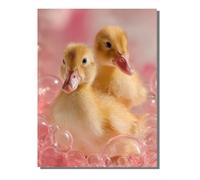 Paint by Numbers for Adults Animal, DIY Painting Duck Paint by Numbers for Children Beginners 36 Pigments, Oil Paintings Crafts Adults Hobbies for Women Gifts, Home Wall Decor 20x28in ZBSWK819
