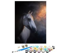 Paint by Numbers for Adults Animal Horse, DIY Painting With Frame Paint by Numbers for Children Beginners, With 3 Brushes and 36 Acrylic Pigment Hobbies Women Gifts, Home Wall Decor 20x28in BJHDK927