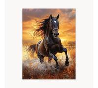 Paint by Numbers for Adults Animal Paint by Numbers Kits 32x24 In with Acrylic and Pens Color Canvas for Painting, Horse Paintings Hobbies for Adults Women,Wall Art Room Decor Gifts for Women FYH-6879