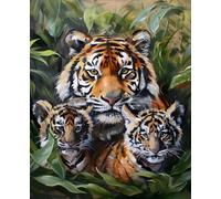 Paint by Numbers for Adults Animal Paint by Numbers Tiger, Easy Painting Kits for Adults Beginners, DIY Acrylic Pigment Drawing Paintwork Arts Craft Kits for Room Decor, Gifts for Women 40x50cm D-75
