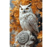 Paint by Numbers for Adults Animal Painting by Numbers Kits on Canvas, Owl DIY Color Oil Painting Acrylic Paints, Hobbies for Adults Women Home Wall Decor 24x32inch/60x80 cm, Without Frame X-8066