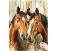Paint by Numbers for Adults Animals Paint by Numbers Horse for Children Beginners, DIY Acrylic Canvas Paintings Kits Hobbies for Adults Women for Halloween Decorations Gifts for Women 60x80cm H-74