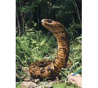 Paint by Numbers for Adults Animals Paint by Numbers Snake for Children Beginners, DIY Acrylic Canvas Paintings Kits Hobbies for Adults Women for Halloween Decorations Gifts for Women 70x90cm G-77