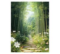 Paint by Numbers for Adults, Bamboo Forest Painting by Numbers for Children Nature 16 x 22Inch, DIY Hobbies for Adults Women, Painting on Canvas Using Acrylic Paint and Brushes, Wall Art Set LSJ-0129