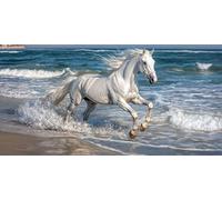 Paint by Numbers for Adults, Beach Horse Painting by Number Kits On Canvas, Adults Beginners DIY Acrylic Oil Craft Art Painting Kits with Brushes Gifts for Home Wall Decor (12x24inch/30x60cm) w-294