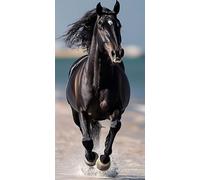 Paint by Numbers for Adults, Beach Horse Painting by Number Kits On Canvas, Adults Beginners DIY Acrylic Oil Craft Art Painting Kits with Brushes Gifts for Home Wall Decor (32x64inch/80x160cm) w-291