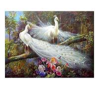Paint by Numbers for Adults,Beautiful White Peacock DIY Hand Painted Canvas Oil Painting Kit for Beginners,with Brushes and Acrylic Pigment paint by numbers for Home Wall Decor 30x40cm,with Framed