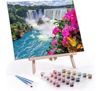 Paint by Numbers for Adults Beginner - Iguazu Falls Painting by Number Kits On Canvas, DIY Craft Art Painting Kit Acrylic Pigment Drawing Paintwork for Home Wall Decor (12x16 in, Frameless) D-916
