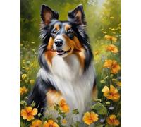 Paint by Numbers for Adults Beginner,Shetland Sheepdog,Sheltie Dog DIY Oil Painting Kit on Canvas with Paintbrushes and Acrylic Pigment, Arts Craft for Home Wall Decor,40x50cm