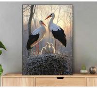Paint by Numbers for Adults Bird, Landscape Paint by Numbers for Children Beginner, DIY Oil Paintings Kit for Adults Women Gifts, with Brushes and Pigment, Home Decor, 30x40cm with Frame Ly8-2059