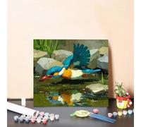 Paint by Numbers for Adults Bird Paint by Numbers Kits River DIY Colorful Canvas Paintings, Hobbies for Adults Women with Accessories for Beginners, Home Wall Decor Art 60x60cm Without Frame 8-33MZ