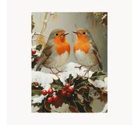 Paint by Numbers for Adults, Bird Painting by Numbers for Adults, Craft Kits for Kids with Snow Scene Color Canvas for Painting 24x32In Acrylic Paint and Brush, Wall Art for Living Room Decor FYH-3530