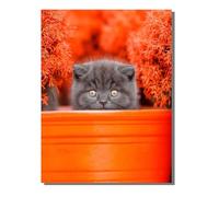 Paint by Numbers for Adults Cat, DIY Painting Animal with Frame Paint by Numbers for Children Beginners 36 Pigments Oil Paintings Crafts Adults Hobbies Women Gifts Home Wall Decor 40x54inch ZBSDK586