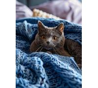 Paint by Numbers for Adults Cat Paint by Numbers for Children Animal, Retro DIY Colorful Canvas Oil Painting Kits Hobbies for Adults Women Paintings Arts for Home Wall Decor with Frame 40x50cm R-O430