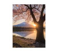 Paint by Numbers for Adults Cherry Blossoms Paint by Numbers Kits Landscape, Hobbies for Adults Women Art Supplies 16x12Inch, Wall Art Crafts Color Canvas for Painting, Home Decor Gifts 2YH-10511
