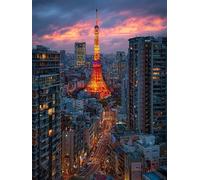 Paint by Numbers for Adults City, Night View DIY Paint by Numbers Kits, Acrylic Painting Adult Crafts with Brushes and Acrylic, Arts and Crafts Canvas for Beginners Kits, for Home Decor 20x28in Q-6075