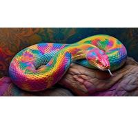 Paint by Numbers for Adults, Colorful Snake Painting by Number Kits On Canvas, Adults Beginners DIY Acrylic Oil Craft Art Painting Kits with Brushes Gifts for Home Wall Decor (12x24inch/30x60cm) w-39