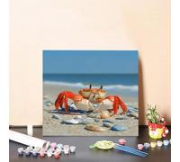 Paint by Numbers for Adults Crab Paint by Numbers Kits Sea DIY Colorful Canvas Oil Paintings, Hobbies for Adults Women with Accessories for Beginners, Home Wall Decor Art 60x60cm Without Frame B-79A2