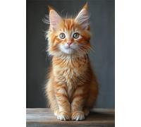 Paint by Numbers for Adults Cute Painting by Numbers Kits on Canvas, Cat DIY Color Oil Painting Acrylic Paints, Hobbies for Adults Women Home Wall Decor 36x48inch/90x120 cm, Without Frame X-5199