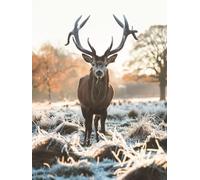 Paint by Numbers for Adults Deer Paint by Numbers for Children Animal, DIY Colorful Canvas Oil Painting Kits Hobbies for Adults Women Paintings Arts for Home Wall Decor with Frame 80x100cm I-1070