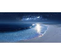 Paint by Numbers for Adults, DIY Acrylic Oil Painting Kits on Canvas Without Frame, Painting by Numbers Kit 30x60cm/12x14inch Home Wall Decor, Multiple Styles Moon Beach for Gifts & Beginners A-926