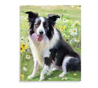 Paint by Numbers for Adults DIY Border Collie dog Oil Painting Set for Beginner Gifts for Men Women 12x16inch(30x40cm) Frameless